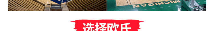 國產(chǎn)運動(dòng)木地板品牌都有哪些牌子