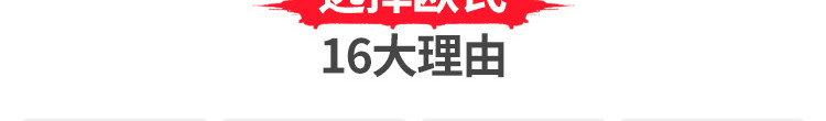 國產(chǎn)運動(dòng)木地板十大品牌
