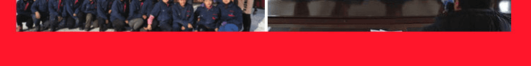 籃球場(chǎng)運動(dòng)木地板品牌