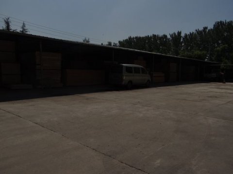 體育運動(dòng)木地板  廠(chǎng)家重視售后服務(wù)