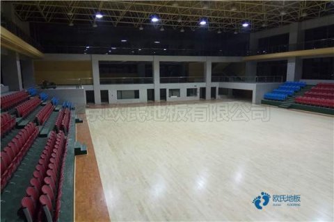 運動(dòng)木地板油漆品牌