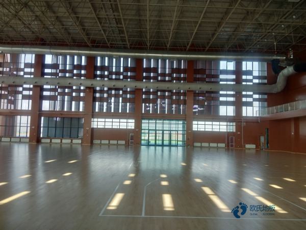 22mm厚運動(dòng)木地板品牌大全3